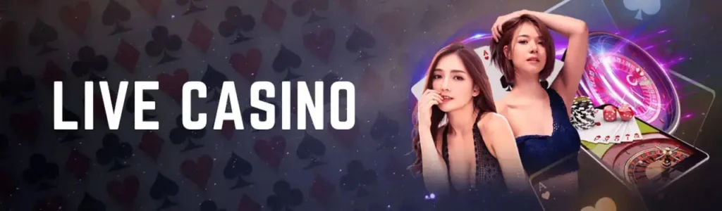 DB Gaming – Premium Online Casino Experience